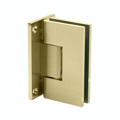 SGS Wall to Glass Full Back Plate Hinge
