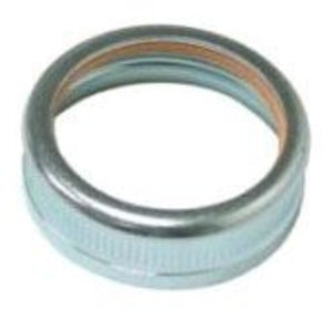 Albion 421-G01 2" Front Ring Cap Assembly - ALBION 4211